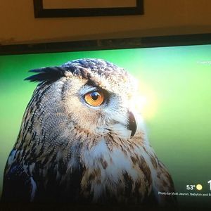 Meet your Posher, Juan